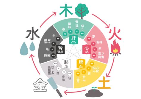 陰陽五行論|陰陽五行とは？その影響や太極図も解説